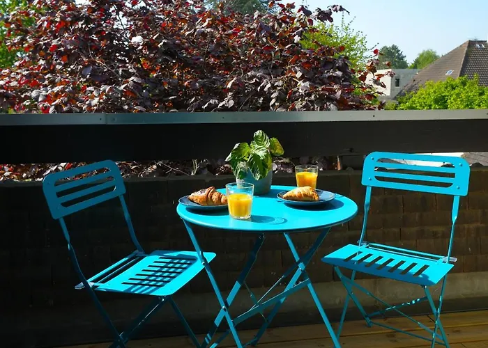 Cosy Zenith קאין